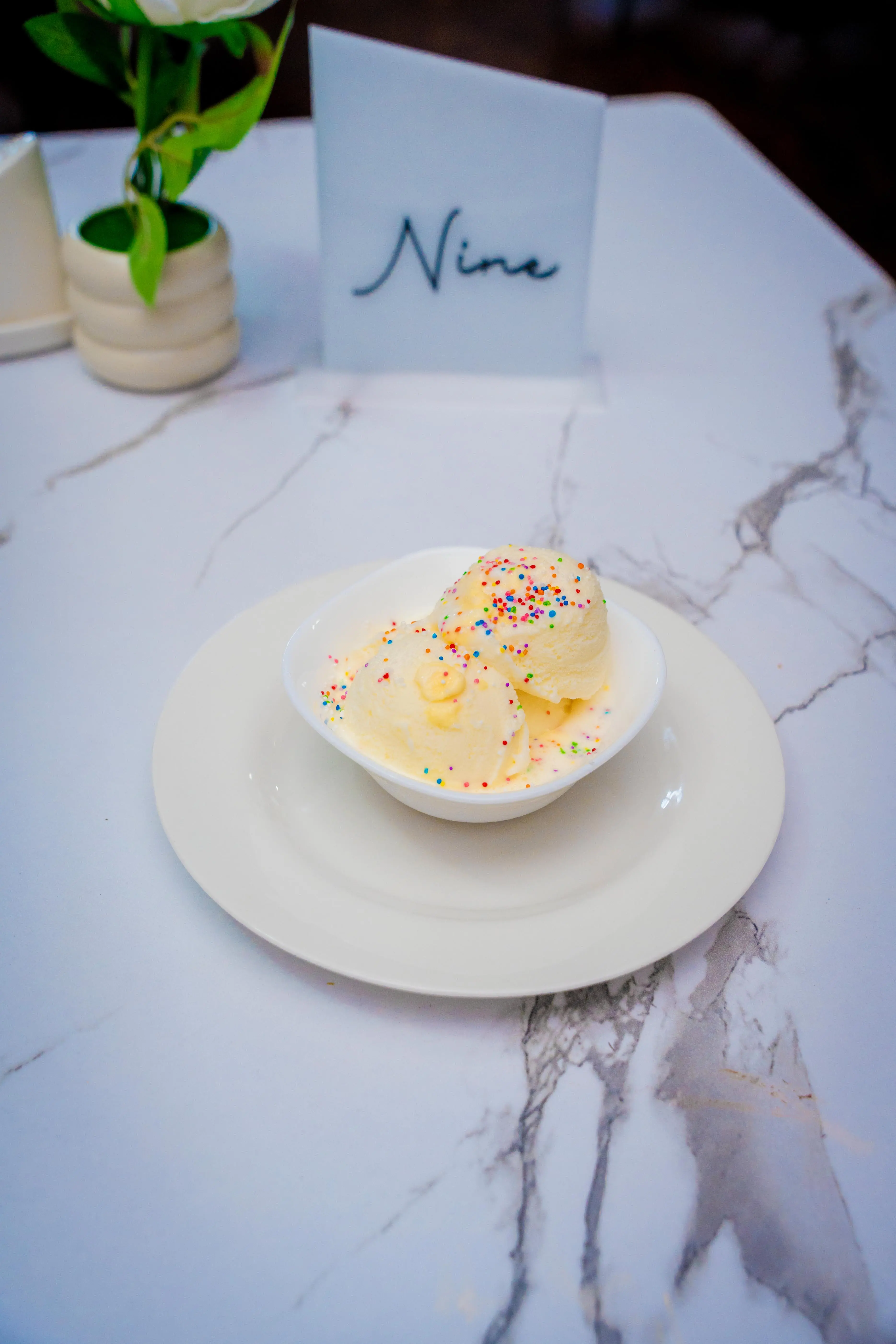 Vanilla Ice Cream